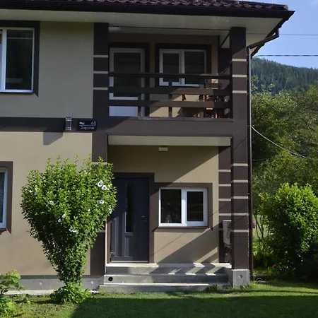 карпатія * Krivorovnya